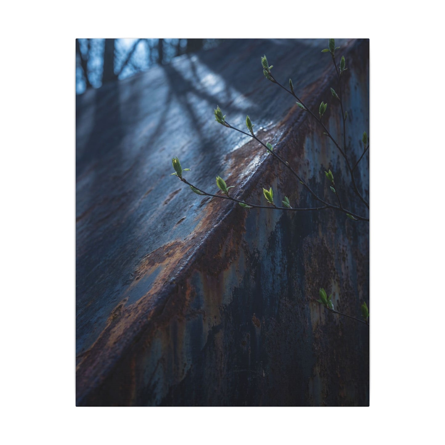 Rust Patina Canvas Art | Spring Dark Japandi Shadow Zen Art