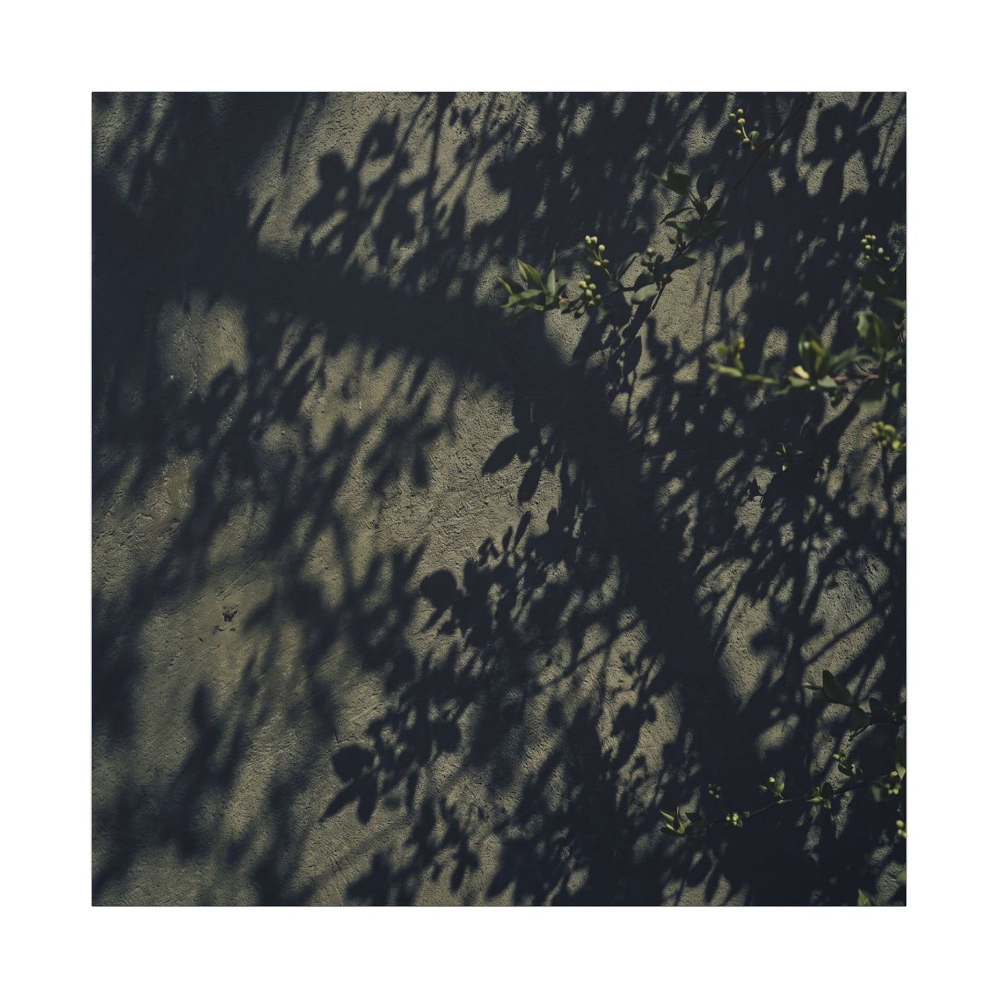 Atmospheric Shadow Play Canvas Art - Moody Minimal Dark Japandi