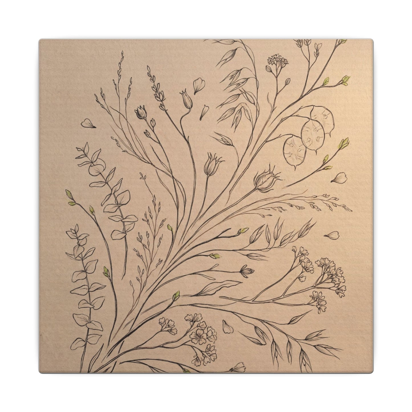 Dried Flowers Canvas Art | Spring Japandi Minimal Line Art
