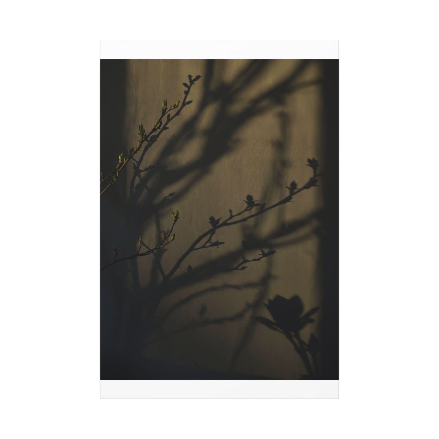 Seijaku Shadow Play Canvas Art - Dark Japandi Charcoal Ink