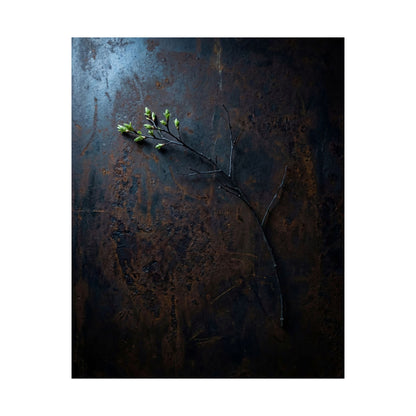 Rust Patina Spring Wall Art Print | Dark Japandi Sophisticated Design
