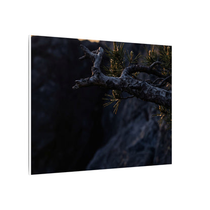 Pine Tree Moody Minimal Canvas Art | Sophisticated Dark Japandi Art