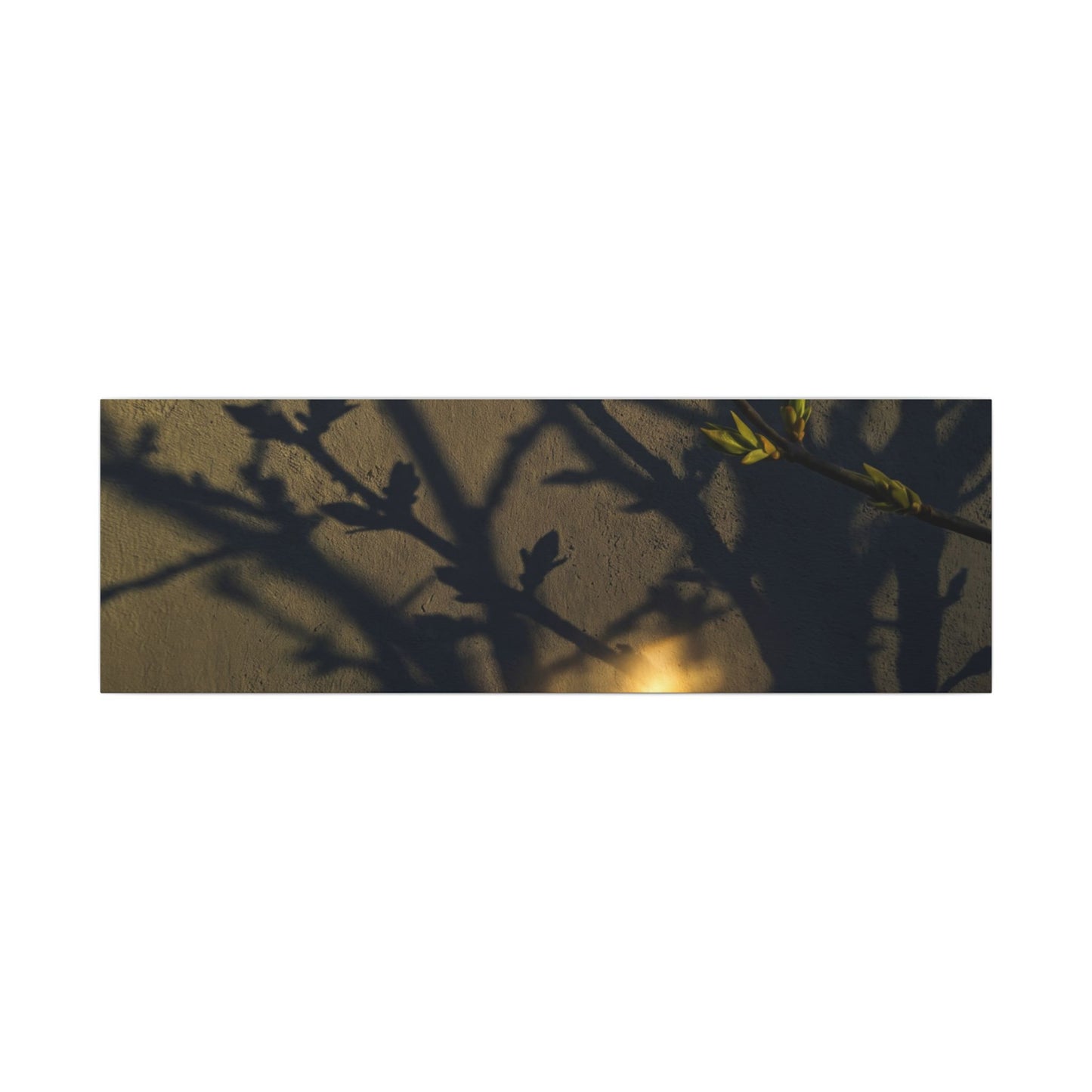 Bold Shadow Play Canvas Art - Moody Minimal Dark Japandi