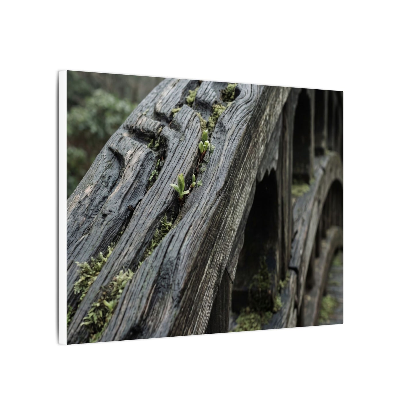 Overcast Wooden Bridge Canvas Art - Japandi Kanso