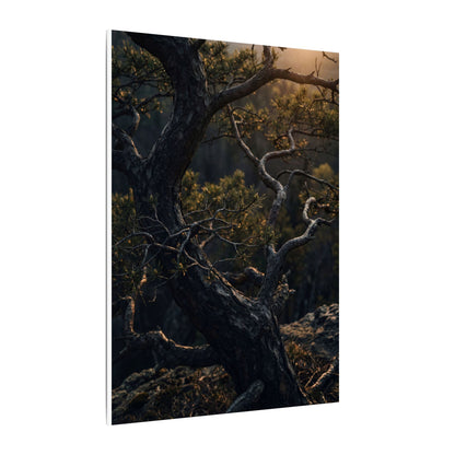 Moody Pine Tree Canvas Art - Moody Minimal Dark Japandi