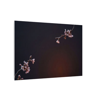 Dark Japandi Cherry Blossom in Candlelight | Moody Minimal Canvas Art