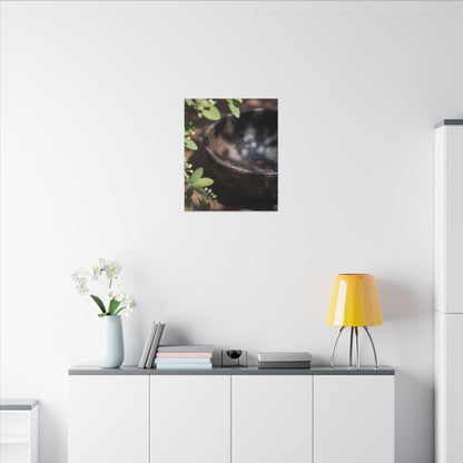 Ceramic Bowl Shadow Zen Canvas Art | Moody Dark Japandi Art