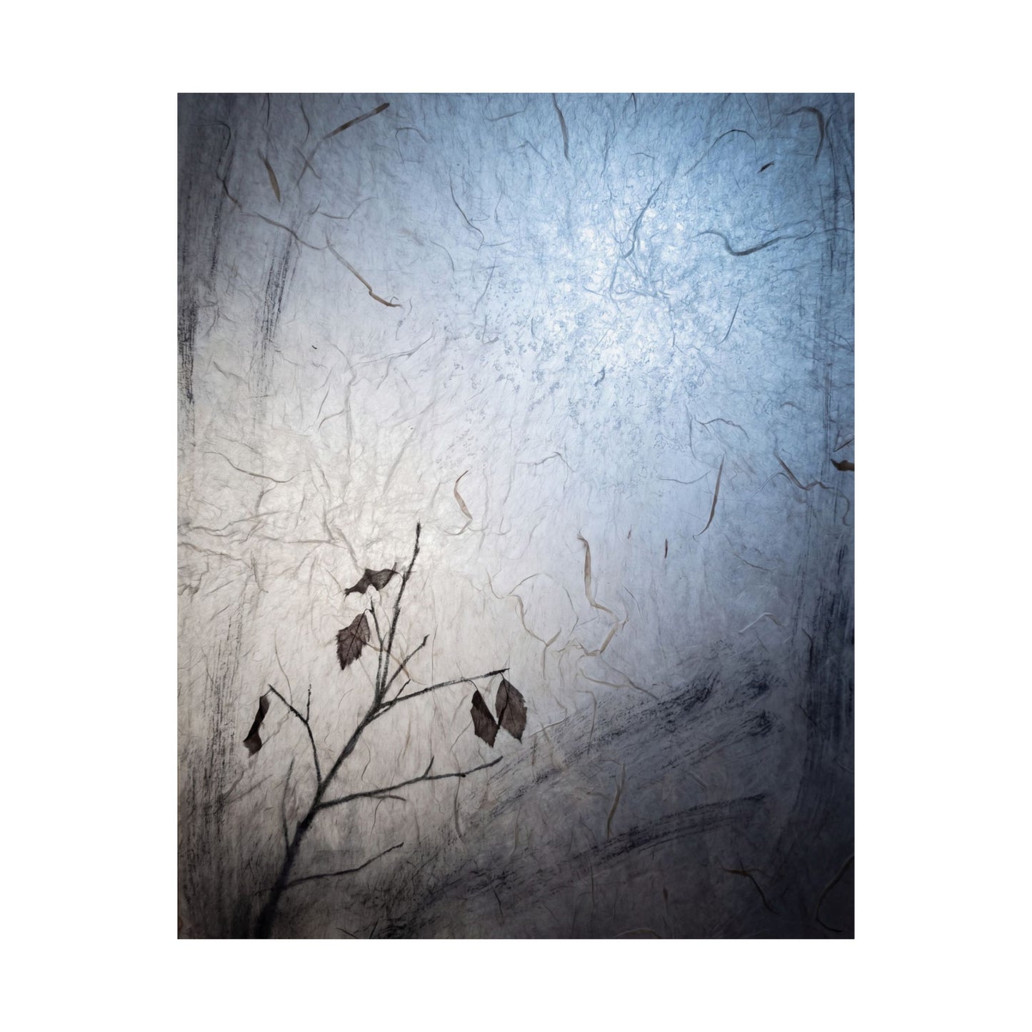 Japandi Shoji Screen in Moonlight | Texture Wall Art Print