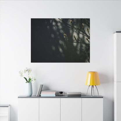 Dark Japandi Shoji Screen in Dappled | Moody Minimal Canvas Art