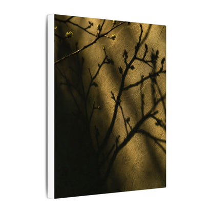 Golden Hour Shadow Play Canvas Art - Dark Japandi Seijaku
