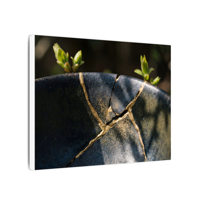 Seijaku Broken Pottery Canvas Art - Dark Japandi Shadow Zen