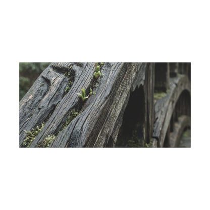 Overcast Wooden Bridge Canvas Art - Japandi Kanso
