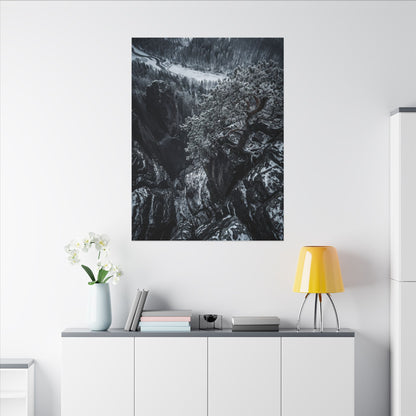 Dark Japandi Pine Tree in Dappled | Dark Texture Canvas Art
