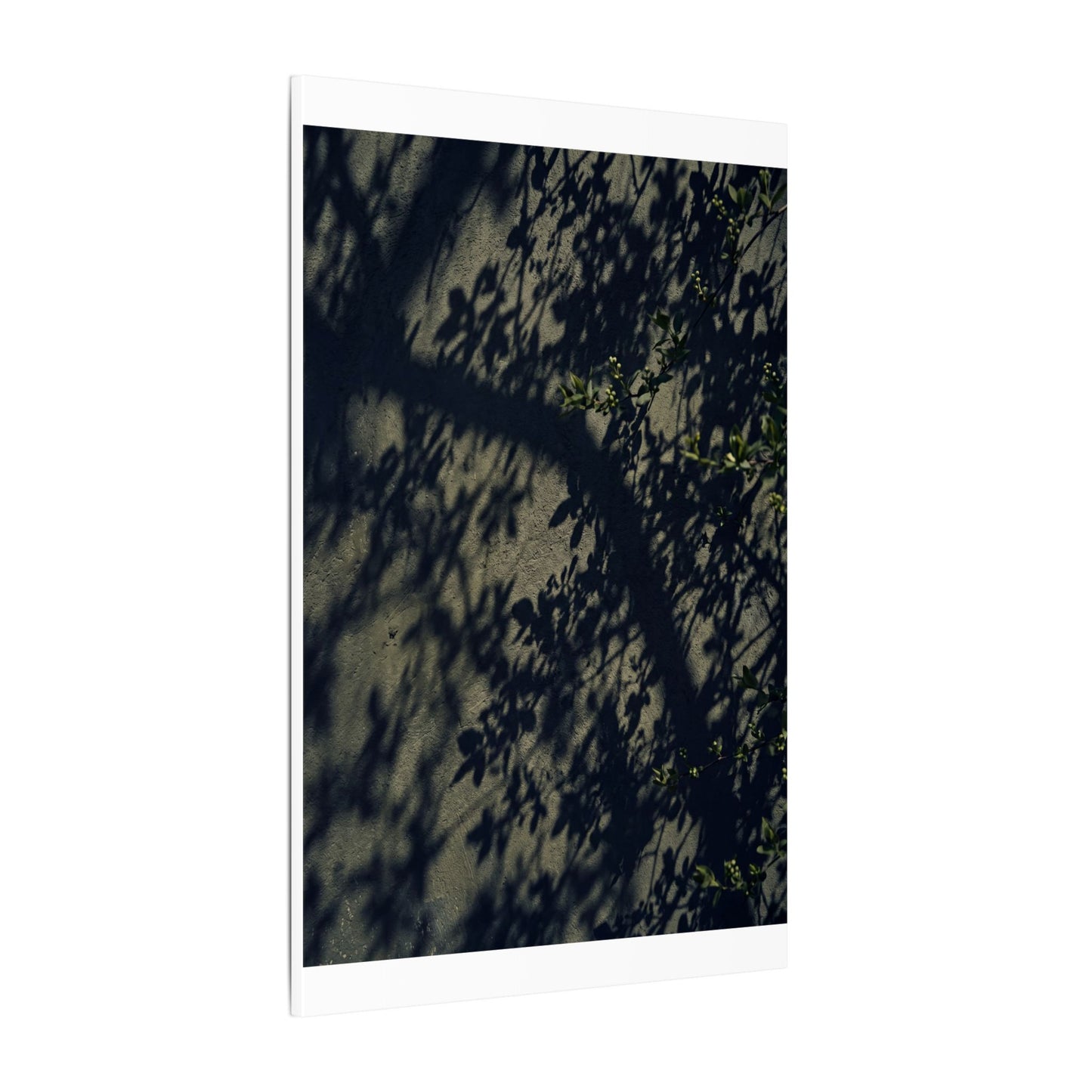 Atmospheric Shadow Play Canvas Art - Moody Minimal Dark Japandi
