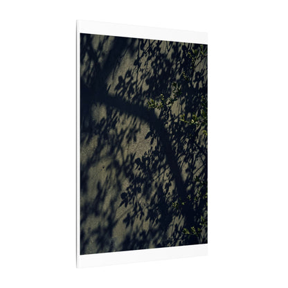 Atmospheric Shadow Play Canvas Art - Moody Minimal Dark Japandi