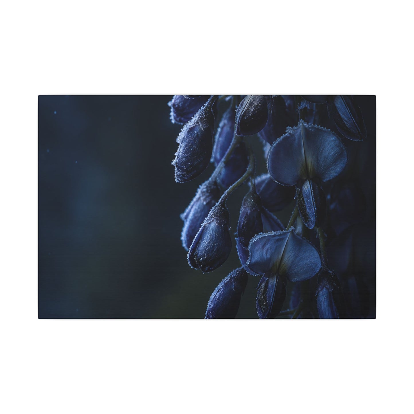 Winter Wisteria Shadow Zen Canvas Art | Atmospheric Decor