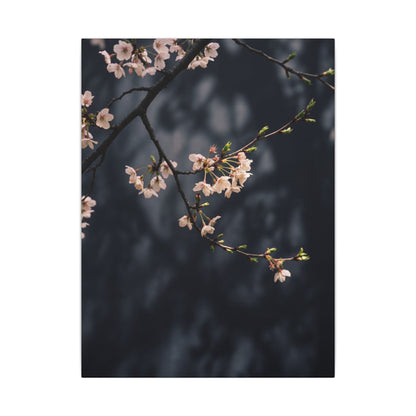 Cherry Blossom Moody Minimal Canvas Art | Bold Dark Japandi Art