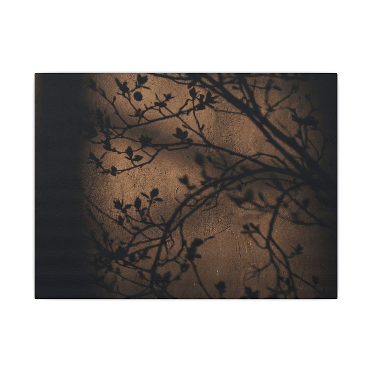 Dark Japandi Shadow Play in Golden Hour | Shadow Zen Canvas Art Art Print