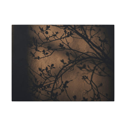 Dark Japandi Shadow Play in Golden Hour | Shadow Zen Canvas Art Art Print