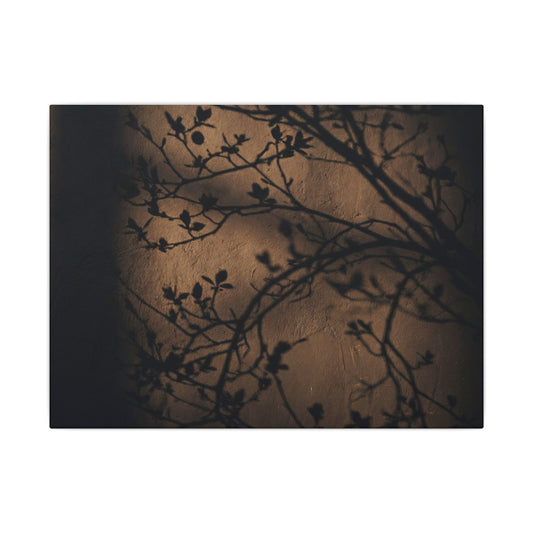 Dark Japandi Shadow Play in Golden Hour | Shadow Zen Canvas Art Art Print