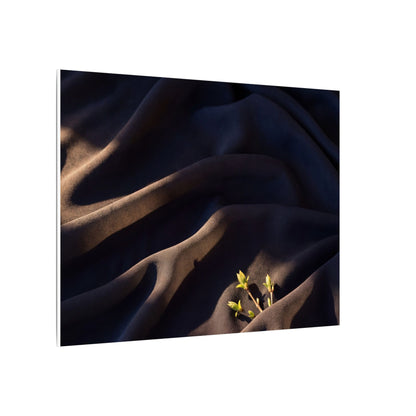 Silk Drape Shadow Zen Canvas Art | Luxurious Dark Japandi Art