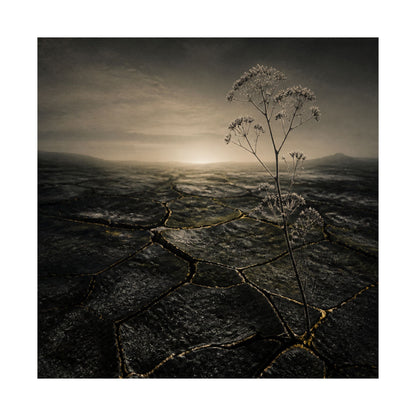 Dawn Cracked Earth Wall Art Print - Dark Japandi Mono No Aware