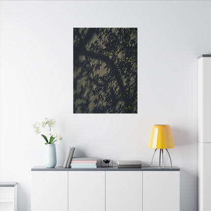 Atmospheric Shadow Play Canvas Art - Moody Minimal Dark Japandi