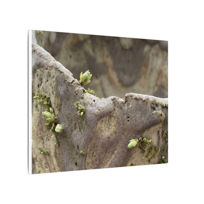 Overcast Ceramic Bowl Canvas Art - Japandi Fukinsei