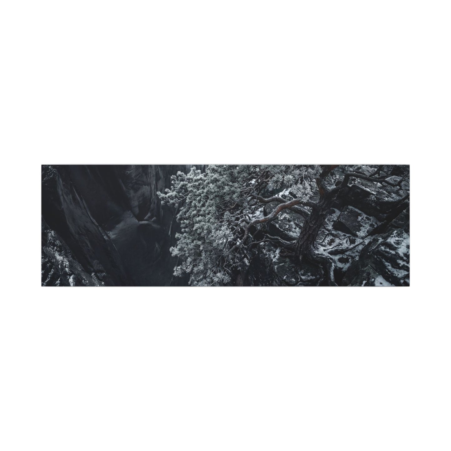 Dark Japandi Pine Tree in Dappled | Dark Texture Canvas Art