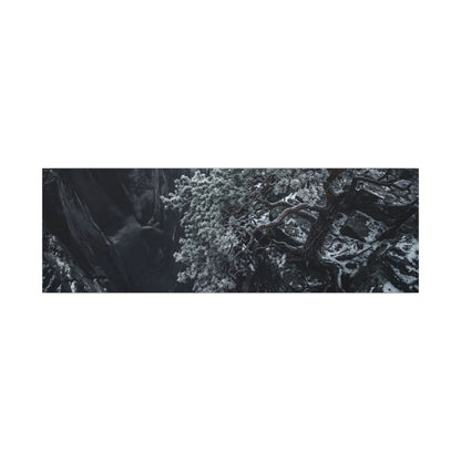 Dark Japandi Pine Tree in Dappled | Dark Texture Canvas Art