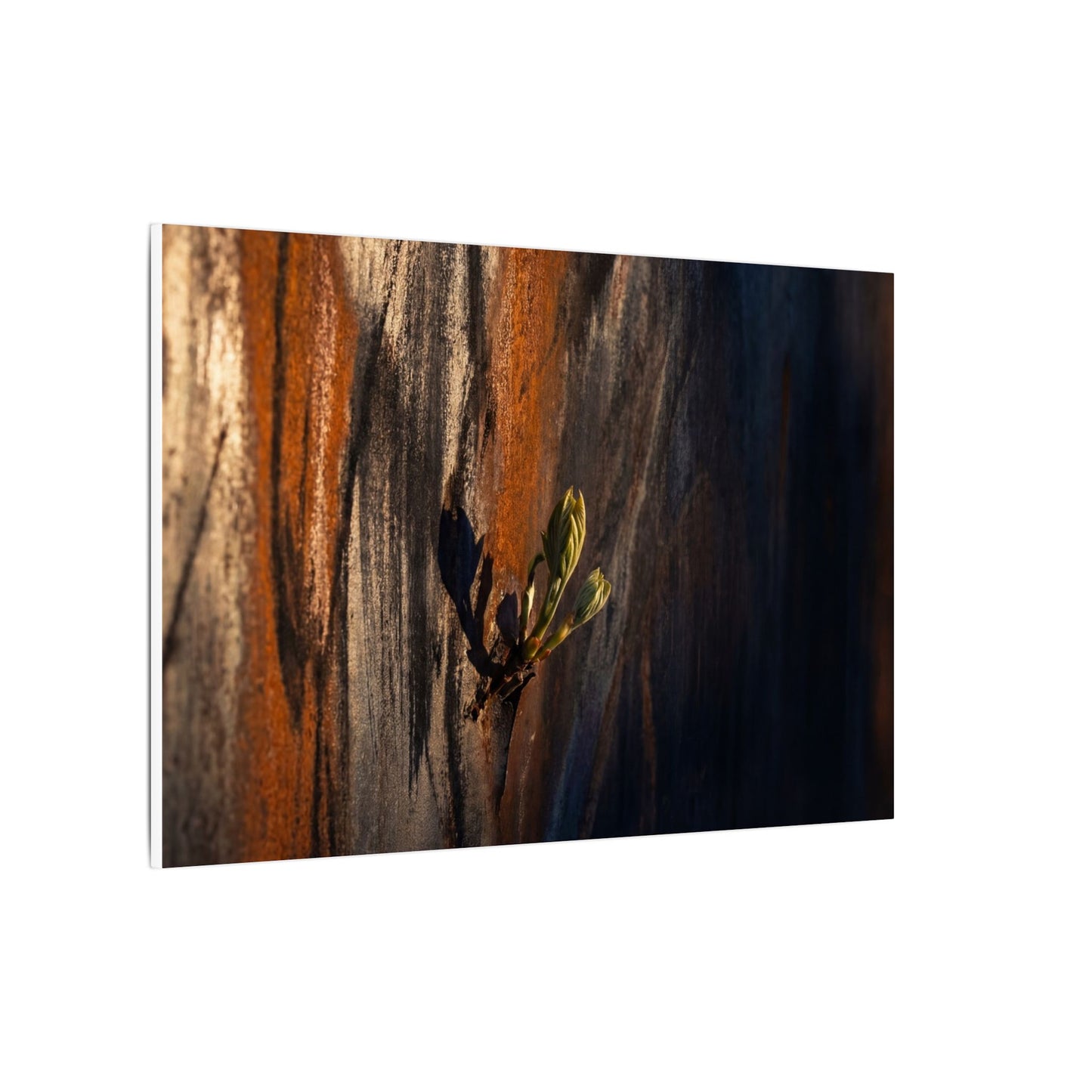 Rust Patina Charcoal Ink Canvas Art | Moody Dark Japandi Art