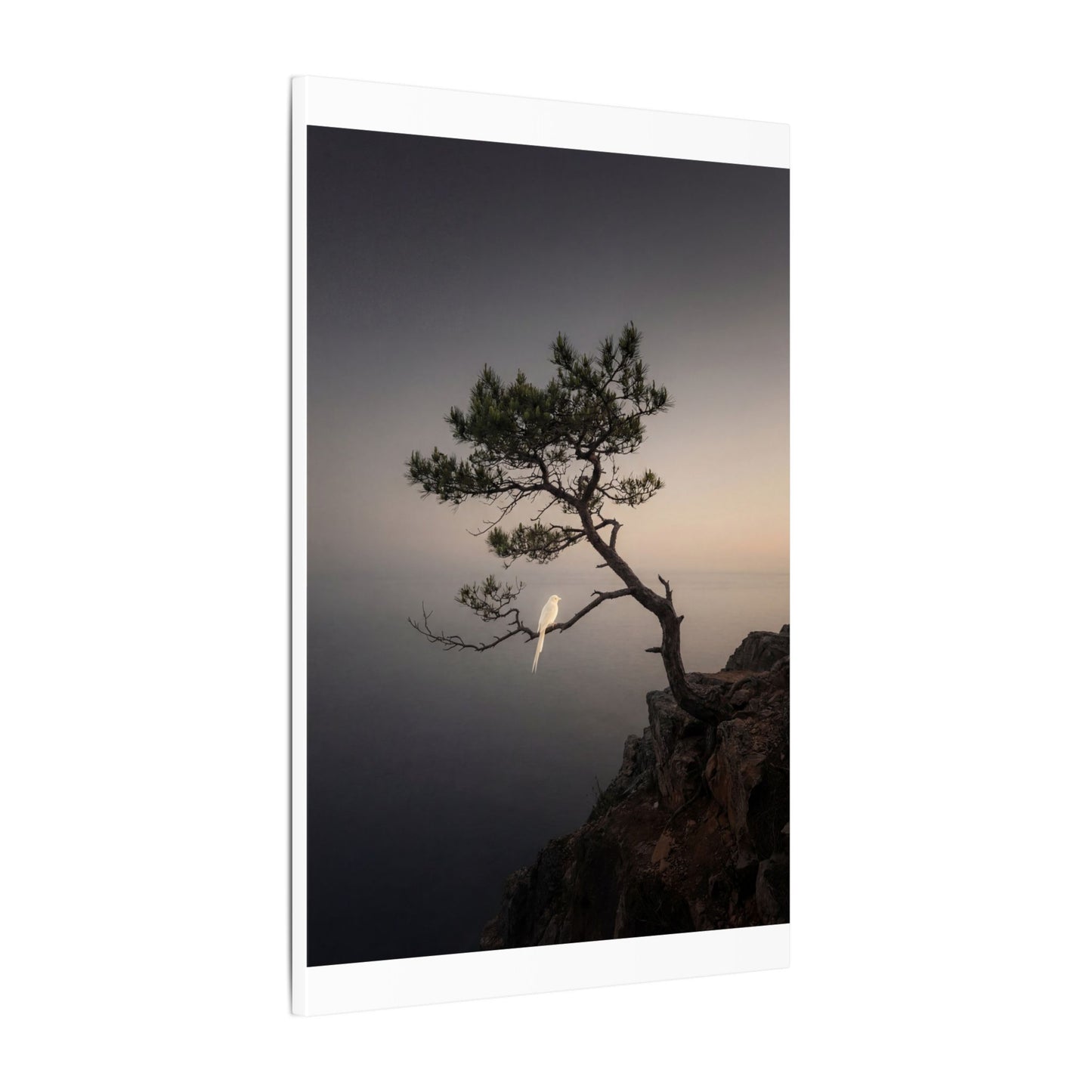 Dawn Pine Tree Canvas Art - Dark Japandi Datsuzoku