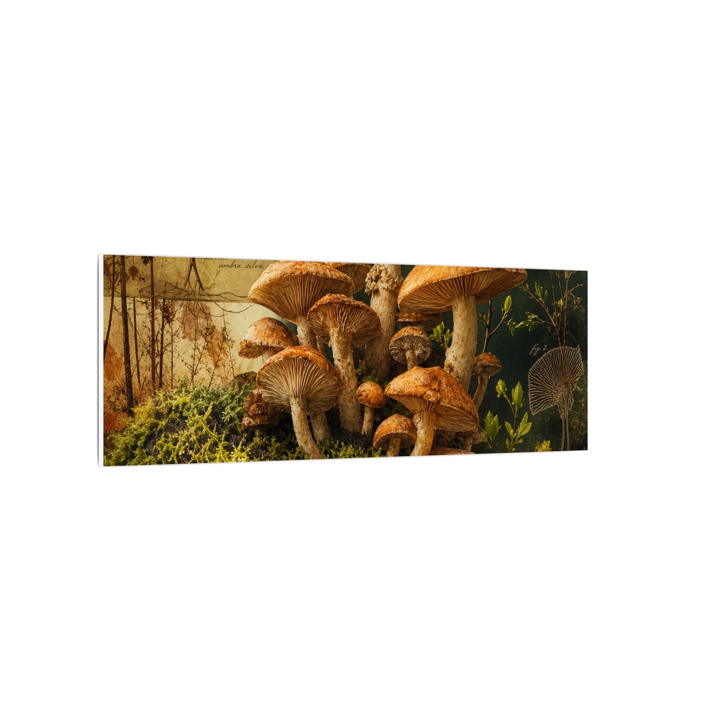 Spring Wild Mushrooms Herbarium Canvas Art | Earthy Decor
