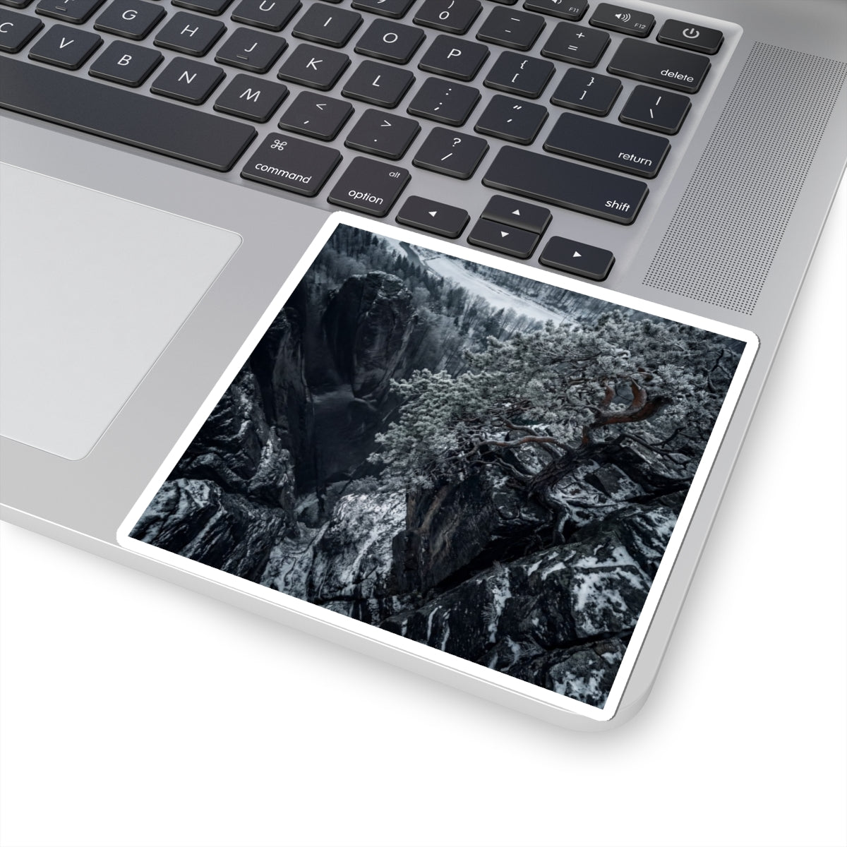 Dappled Pine Tree Sticker - Dark Japandi Seijaku Art Print