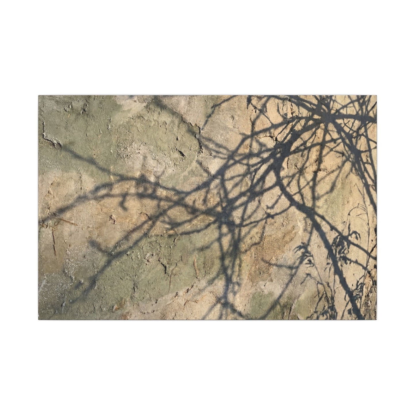 Japandi Shadow Play in Golden Hour | Texture Canvas Art