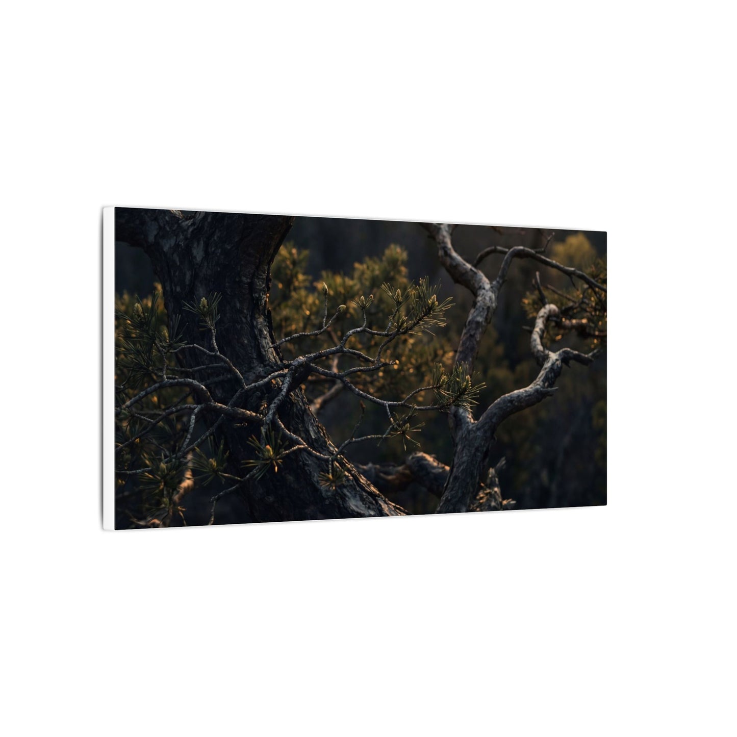 Moody Pine Tree Canvas Art - Moody Minimal Dark Japandi