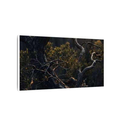Moody Pine Tree Canvas Art - Moody Minimal Dark Japandi