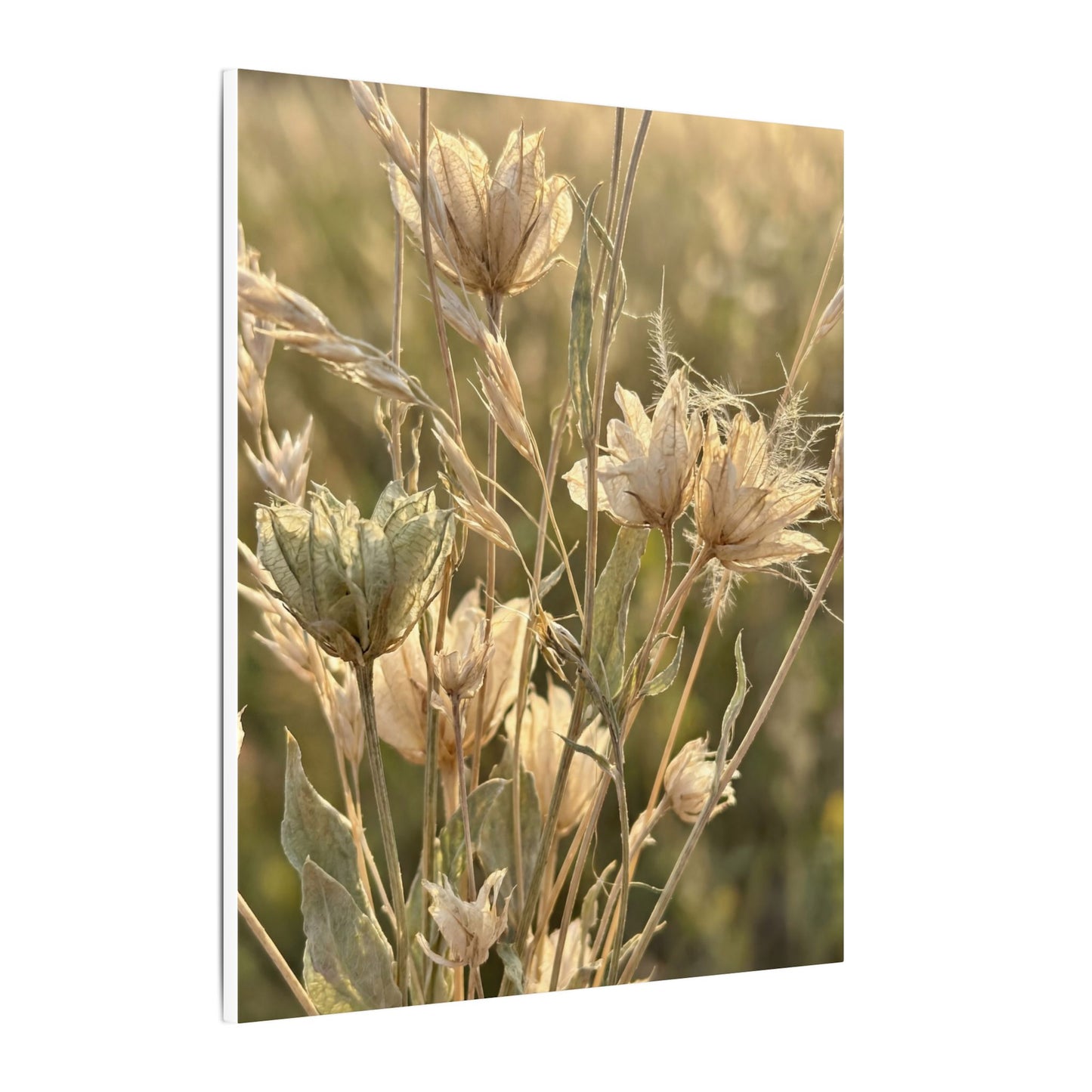 Summer Dried Flowers Minimal Line Canvas Art | Cozy Decor