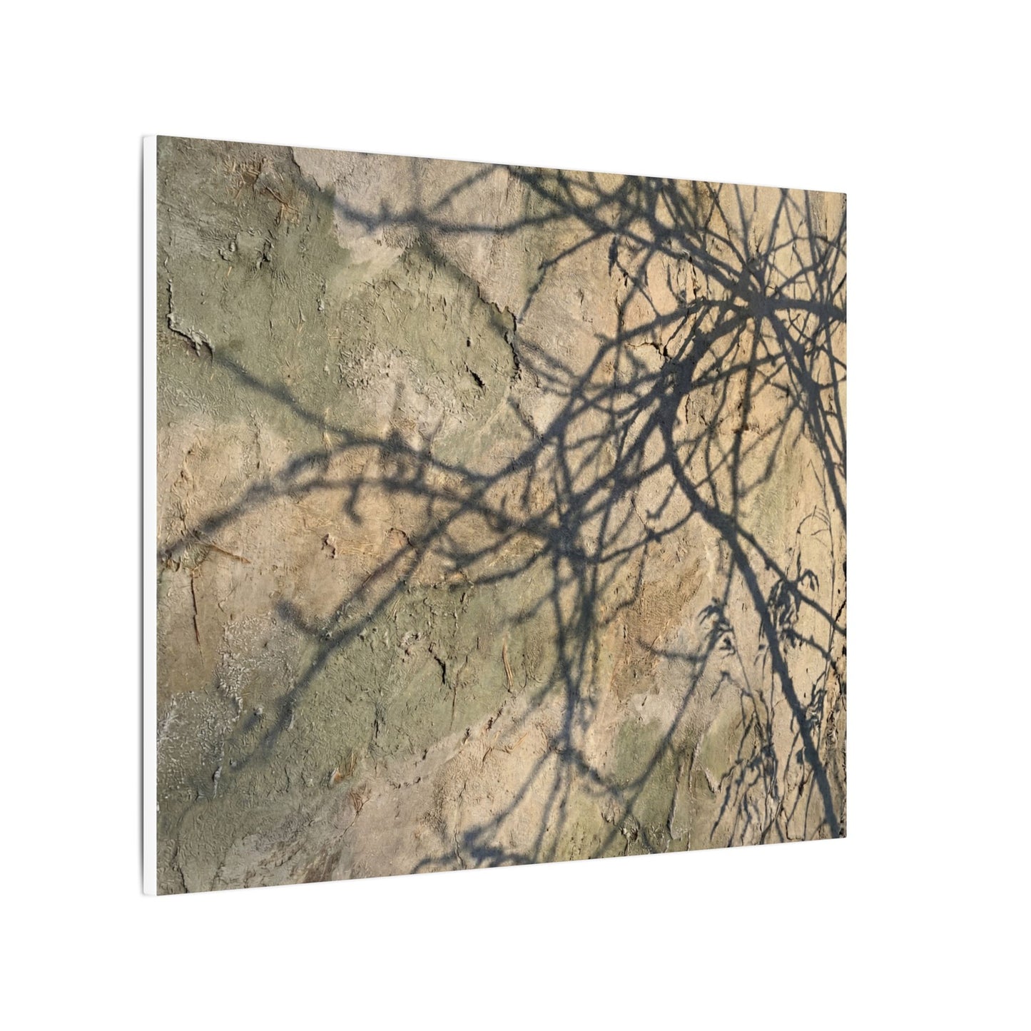 Japandi Shadow Play in Golden Hour | Texture Canvas Art
