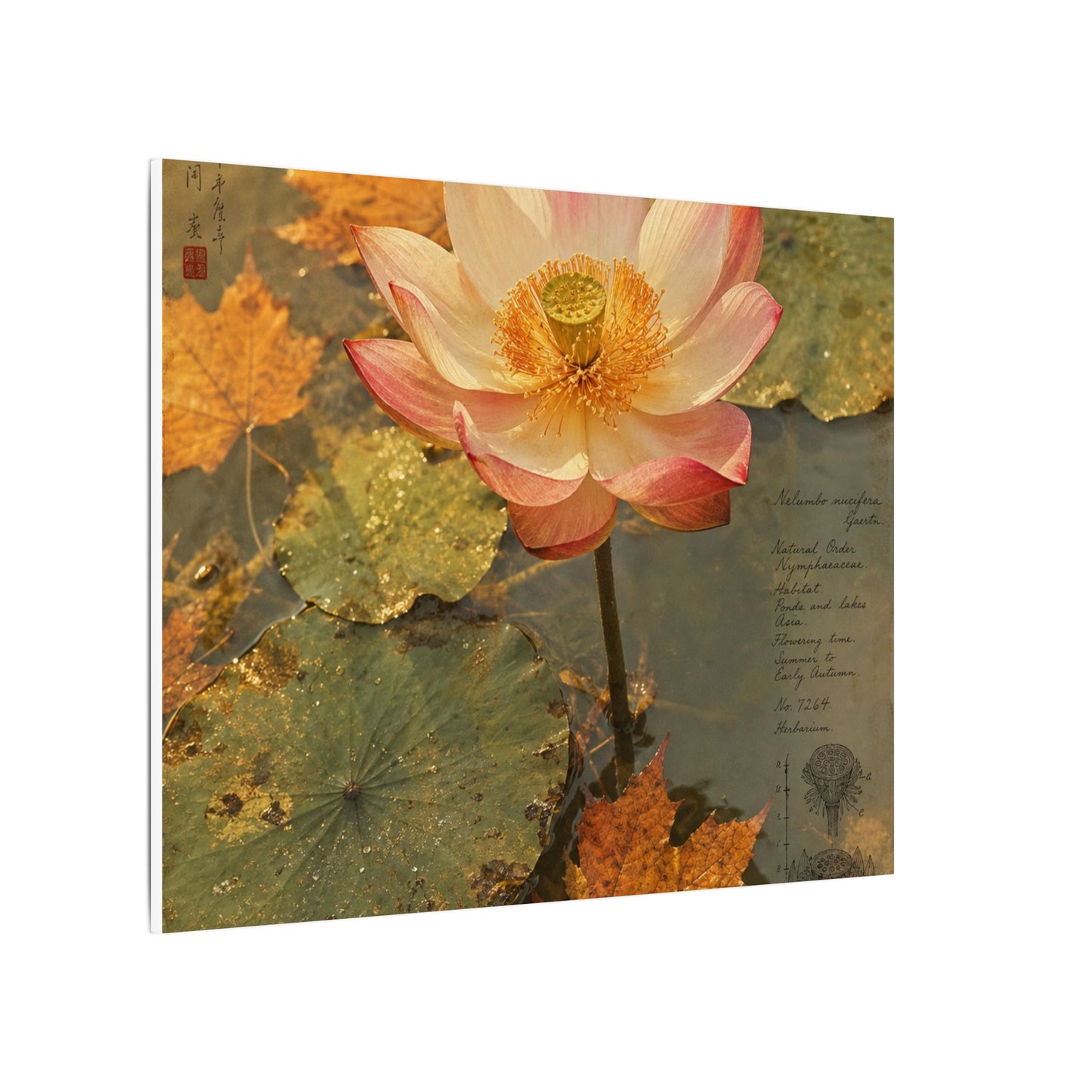 Autumn Lotus Flower Herbarium Canvas Art | Rustic Decor
