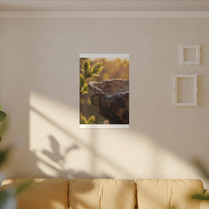 Golden Hour Ceramic Bowl Canvas Art - Dark Japandi Ma