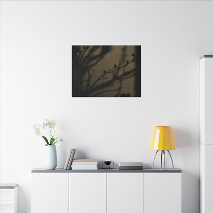 Seijaku Shadow Play Canvas Art - Dark Japandi Charcoal Ink