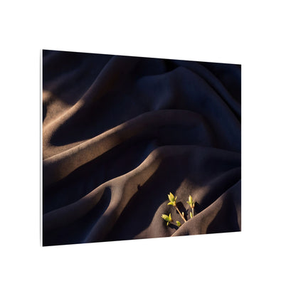 Silk Drape Shadow Zen Canvas Art | Luxurious Dark Japandi Art