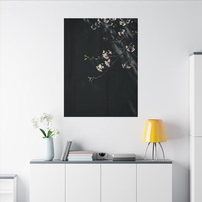 Cherry Blossom Spring Canvas Art | Dark Japandi Sophisticated Design
