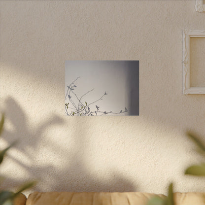 Japandi Shadow Play in Dawn | Japanese Pattern Canvas Art