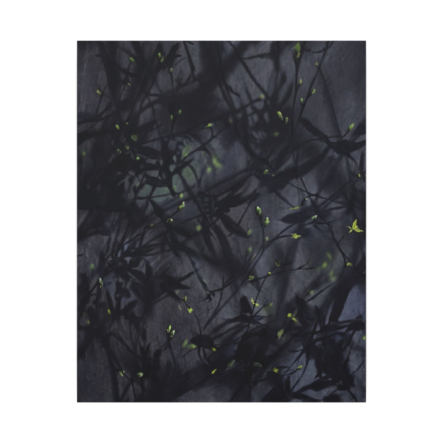 Shadow Play Spring Canvas Art | Dark Japandi Atmospheric Design