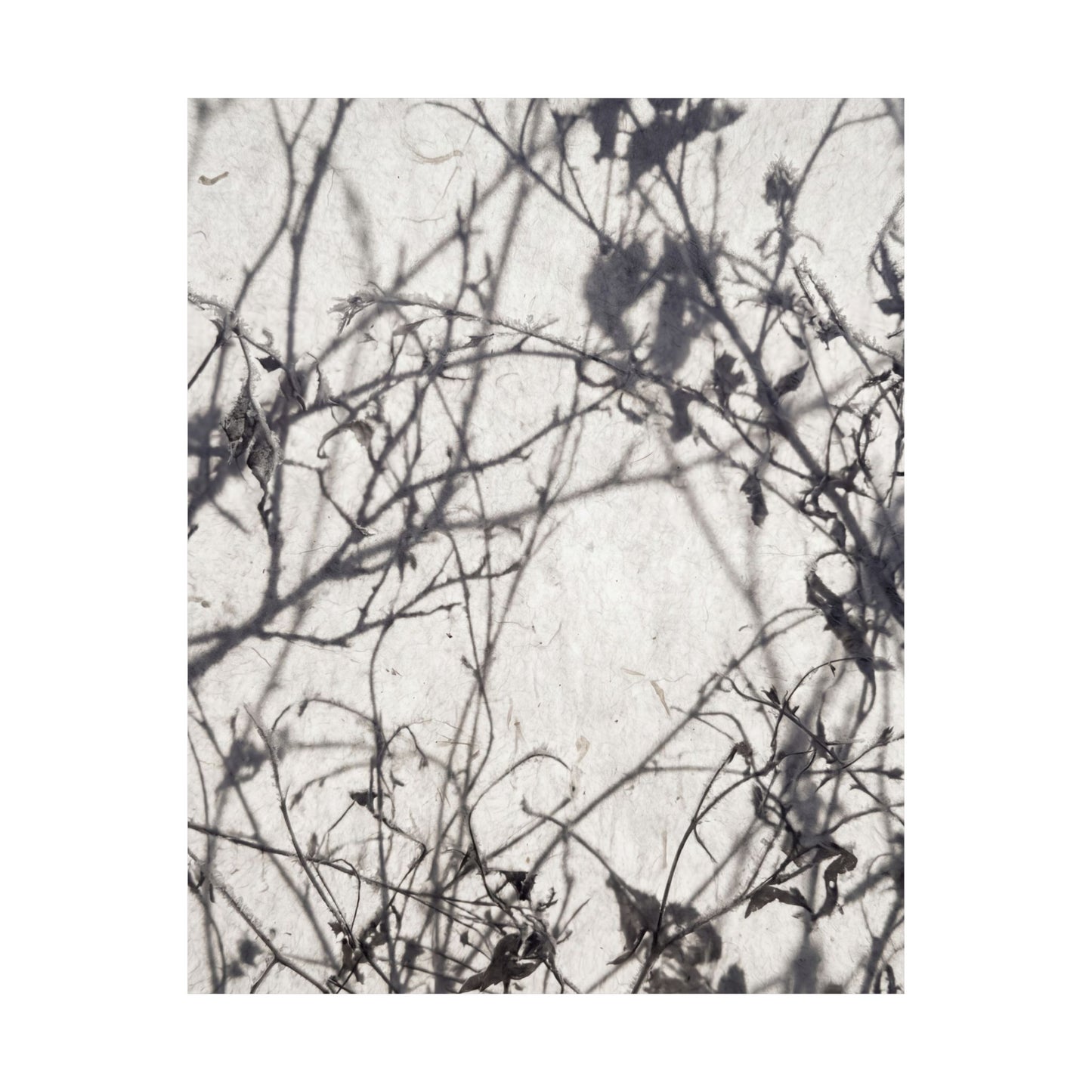Shadow Play Wall Art Print | Winter Japandi Japanese Pattern Art