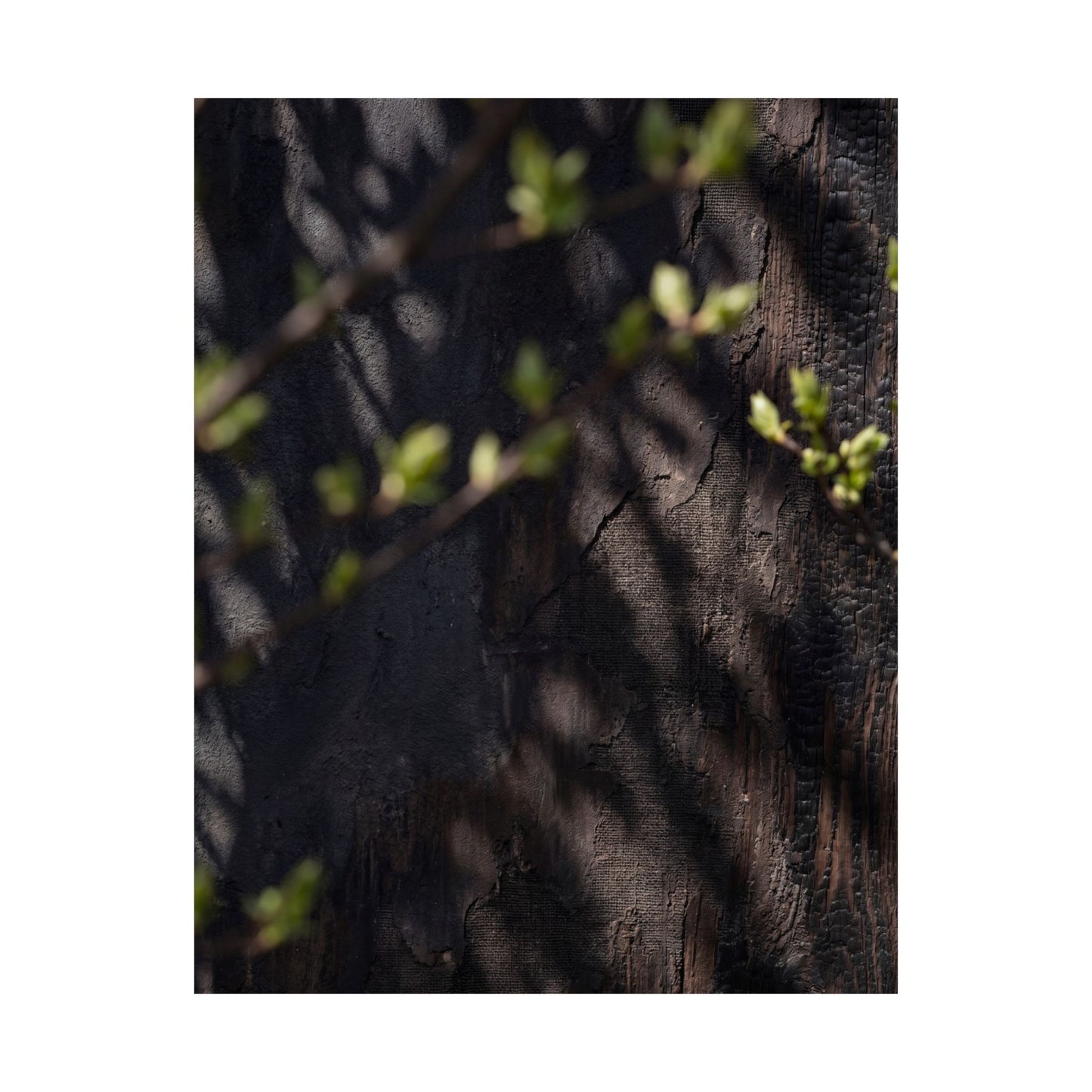 Shadow Play Dark Texture Wall Art Print | Atmospheric Dark Japandi Art