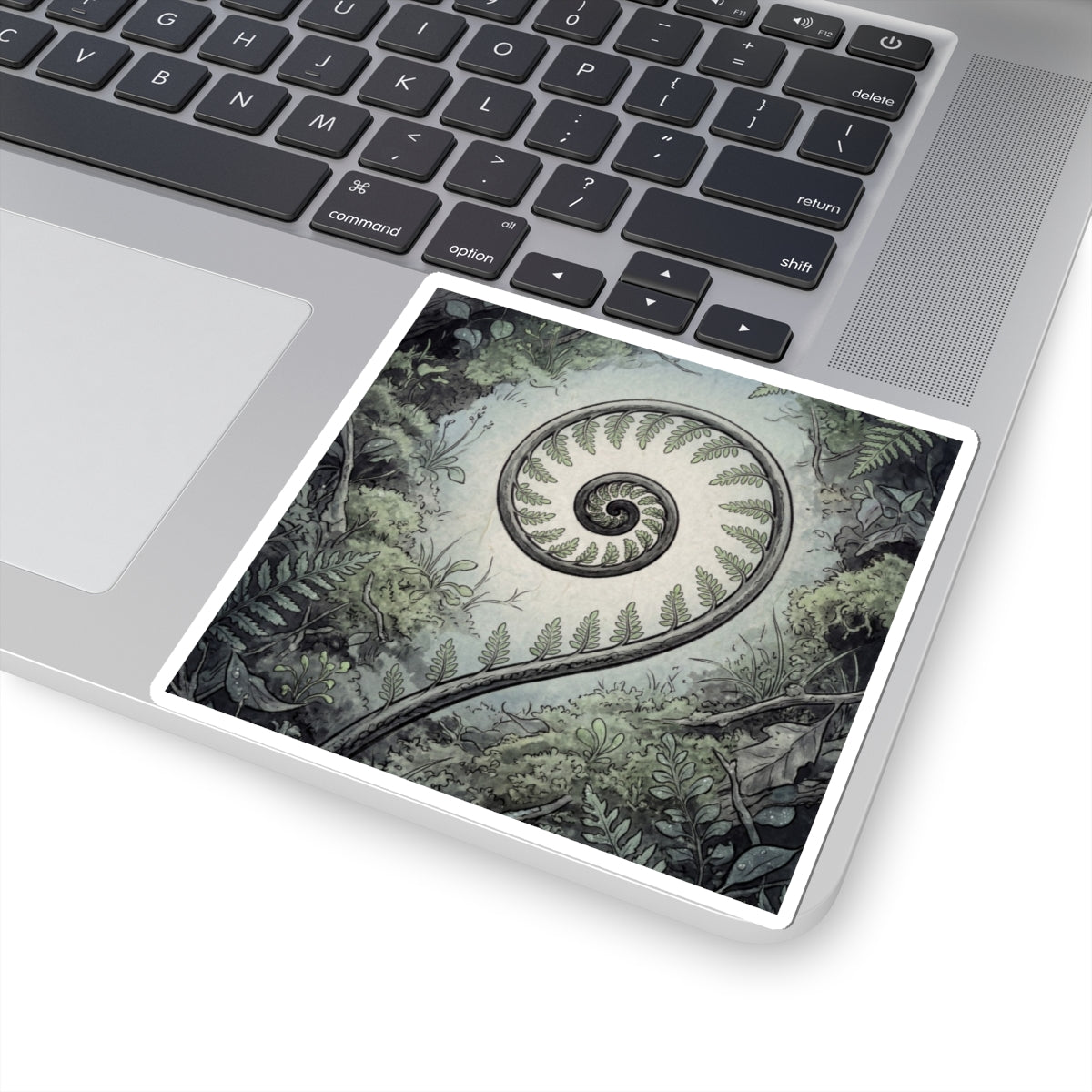 Dawn Fern Unfurling Sticker - Zen Seijaku Art Print
