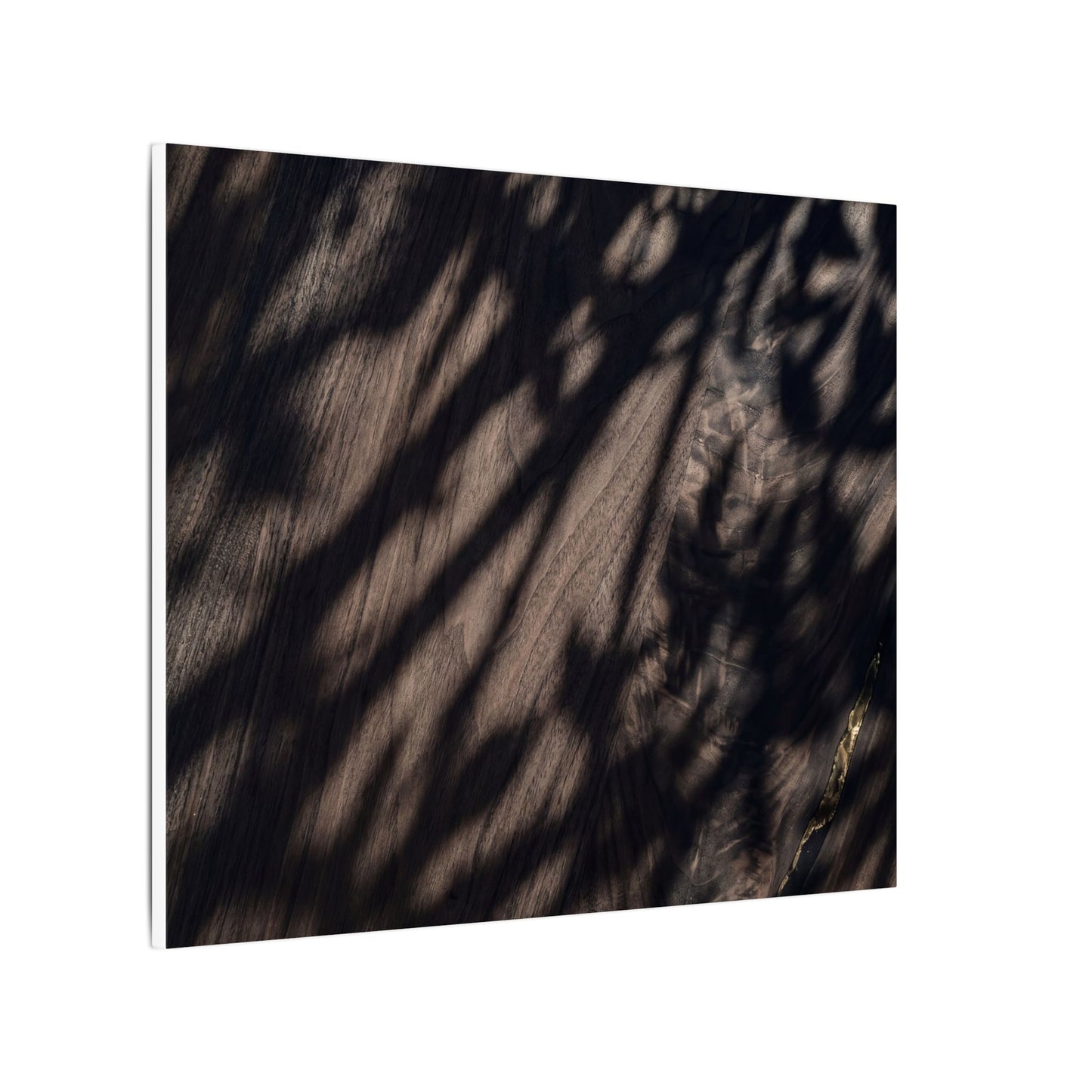 Shadow Play Summer Canvas Art | Dark Japandi Moody Design